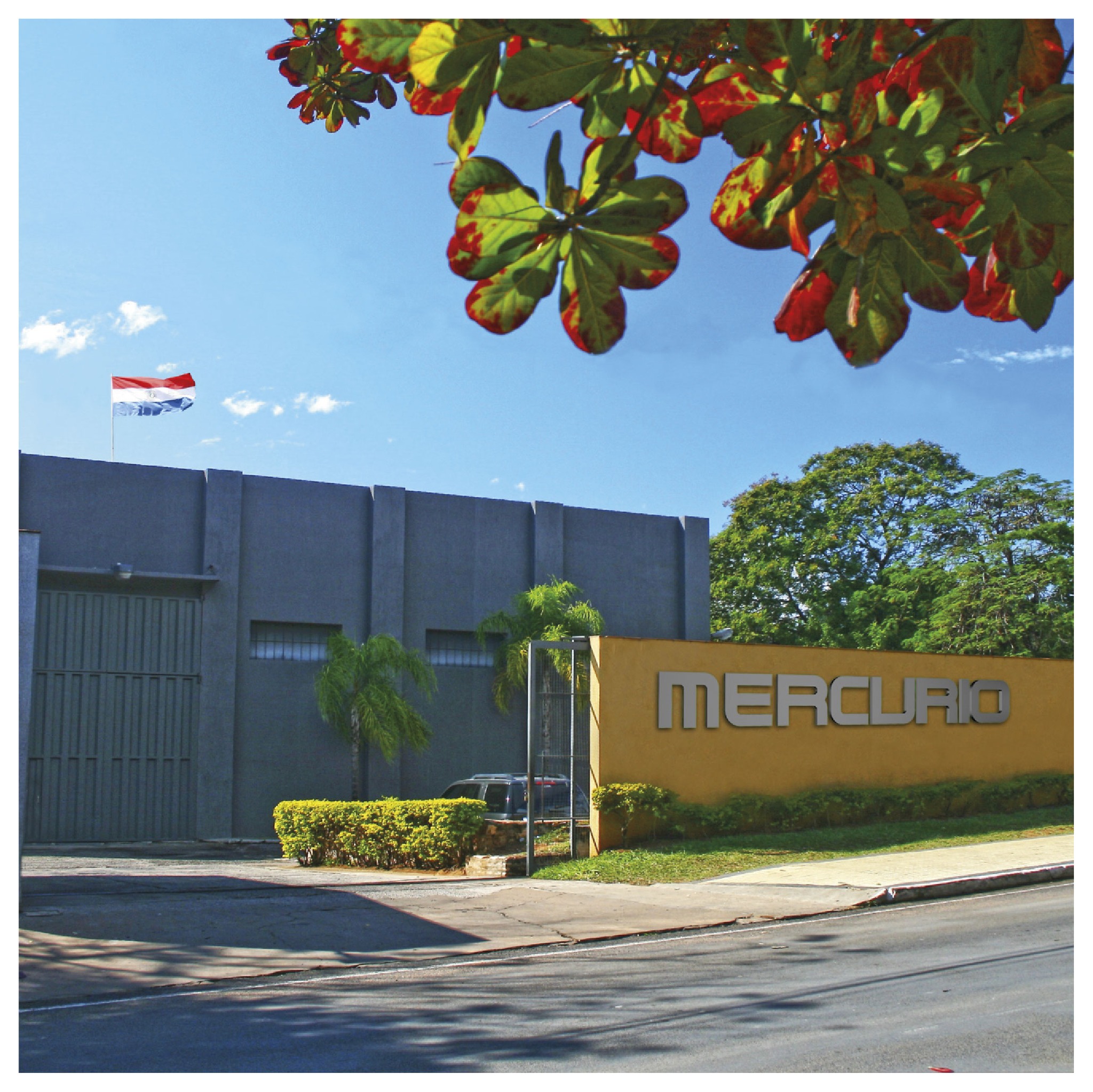 Mercurio S.A | Asunción