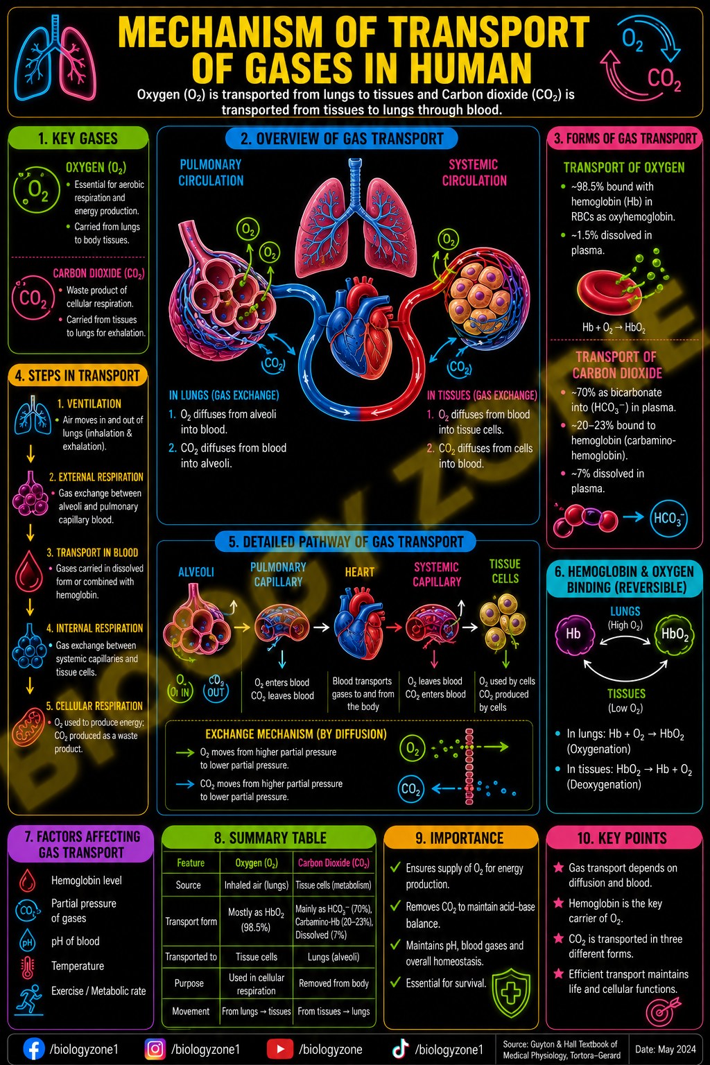 Scientists have discovered that tirzepatide—an FDA-approved drug for diabetes and weight loss (Mounjaro, Zepbound)—can also shrink breast cancer tumors in obese mice. Presented at ENDO 2025, the University of Michigan study showed