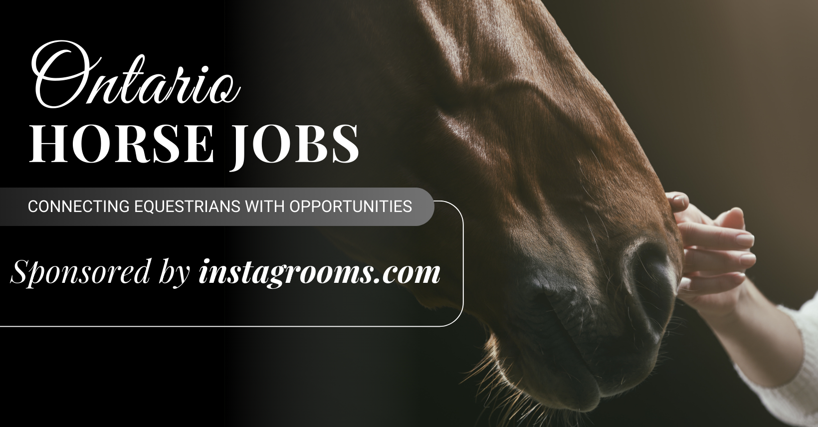 Ontario Horse Jobs | Growing program in Clearview looking for a working ...