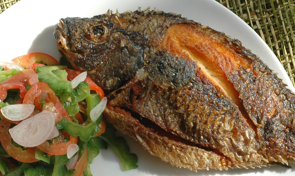 DALA FISH Project