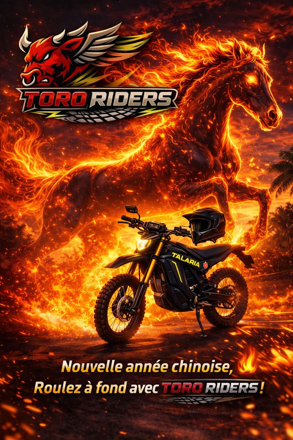 Toro Rider 987 | Papeari