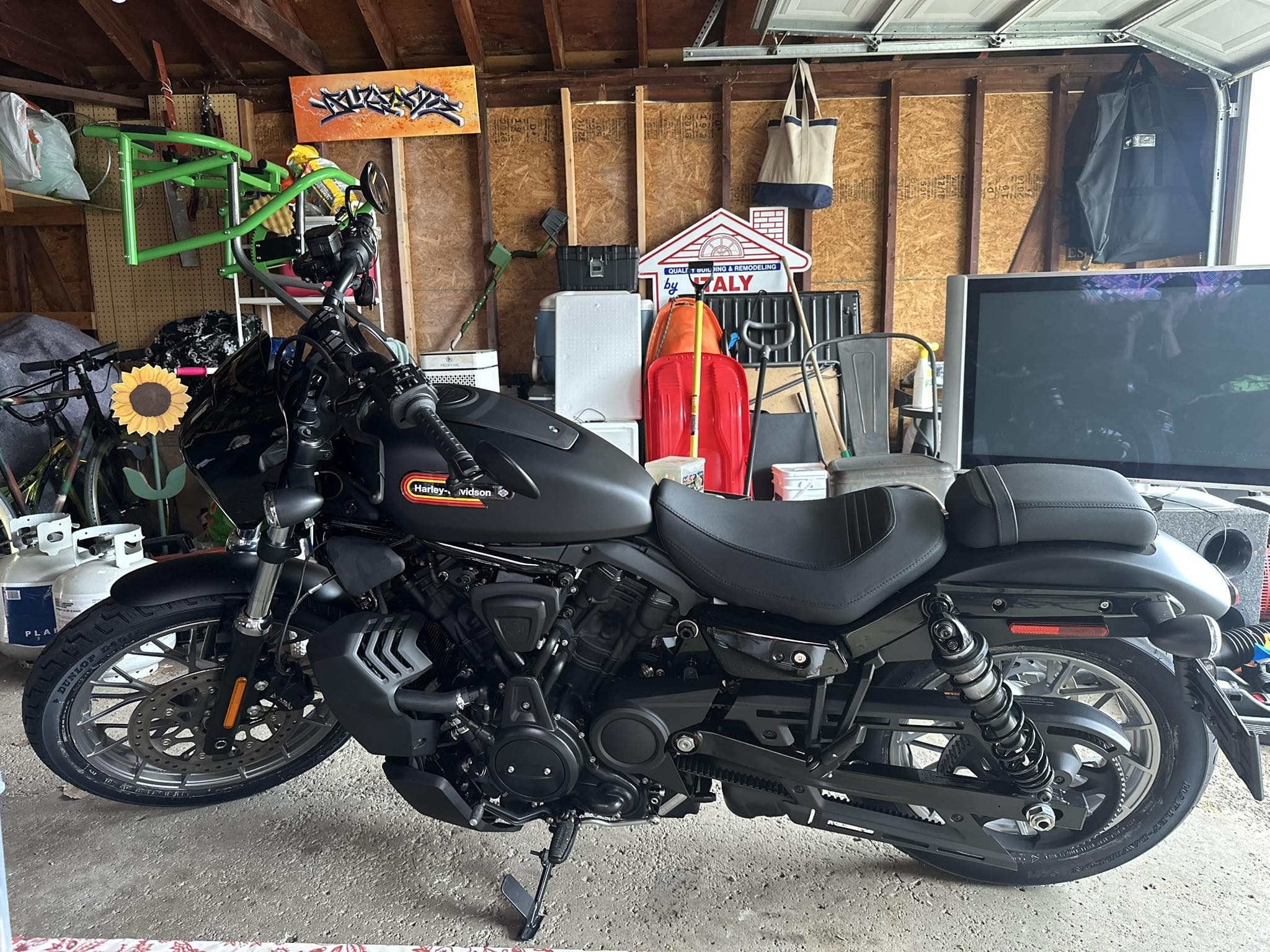 Does anyone have Viking bags on their Deluxe bike?