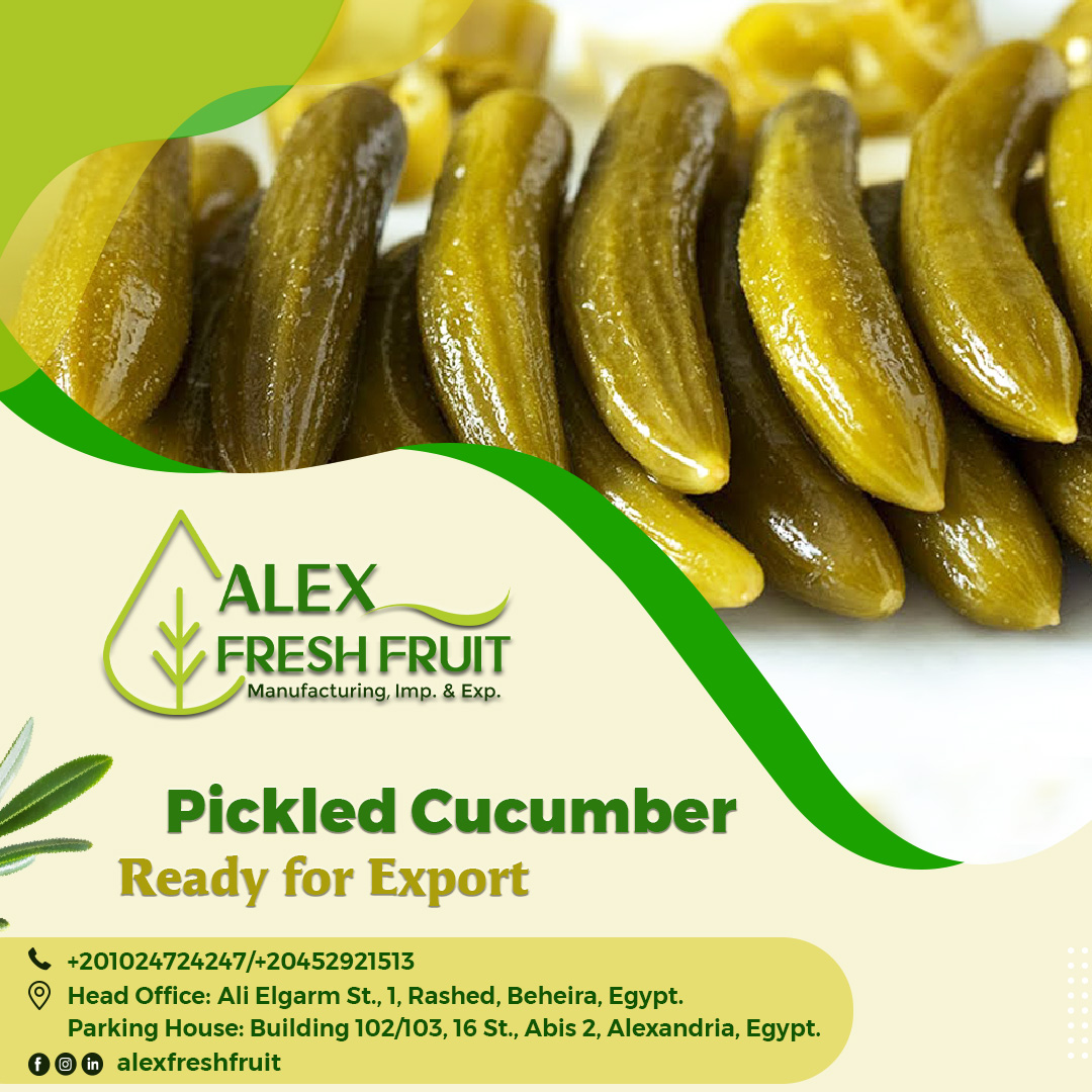 Alex Fresh Fruit | Rashid