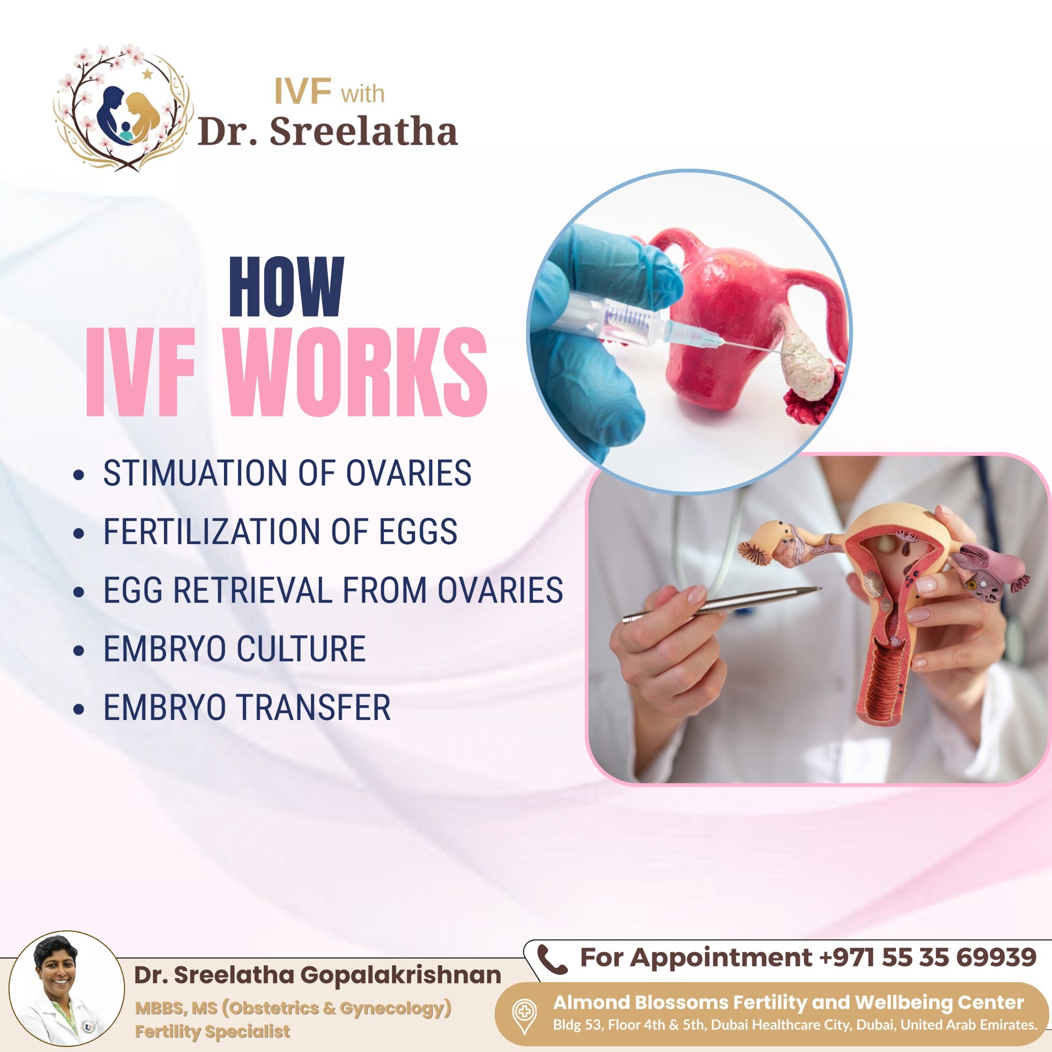 IVF - How IVF Works – A Step-by-Step Miracle IVF is a journey of hope ...