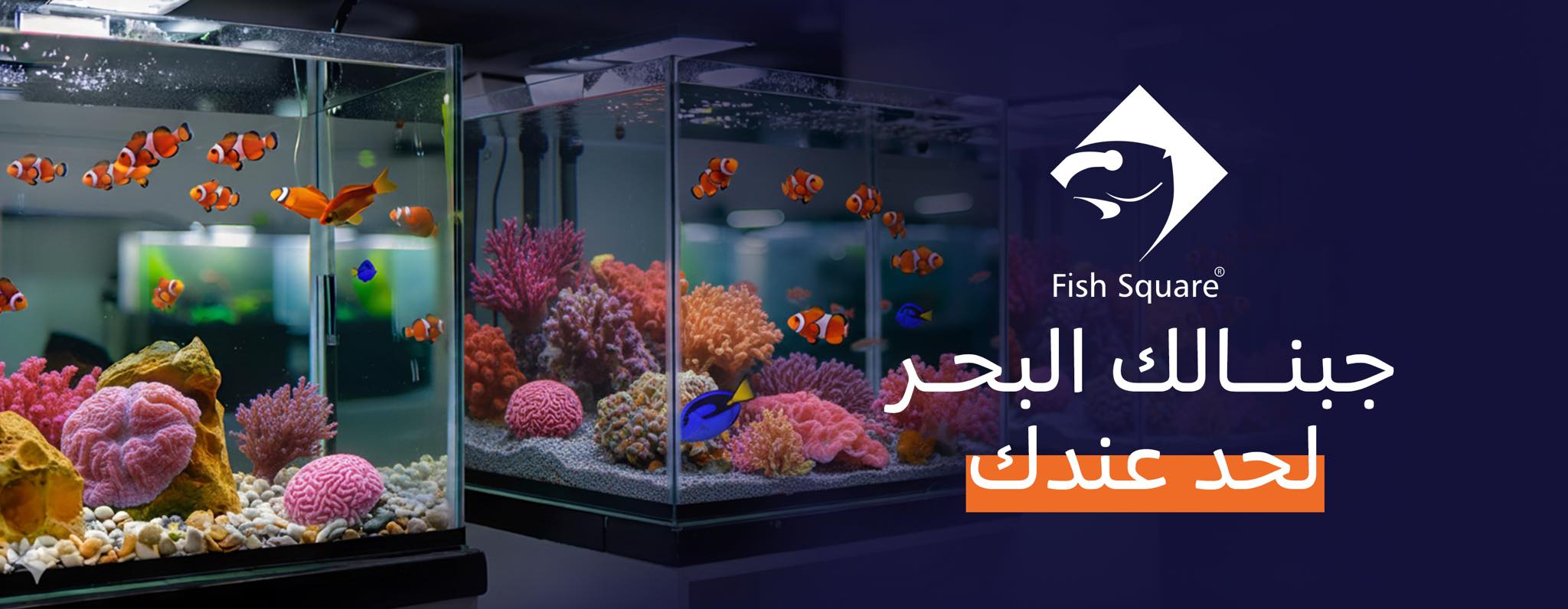 Fish Square Store | Giza