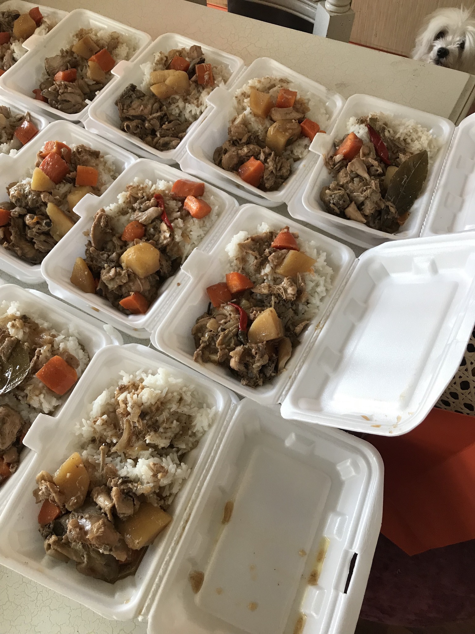 Adobo Project