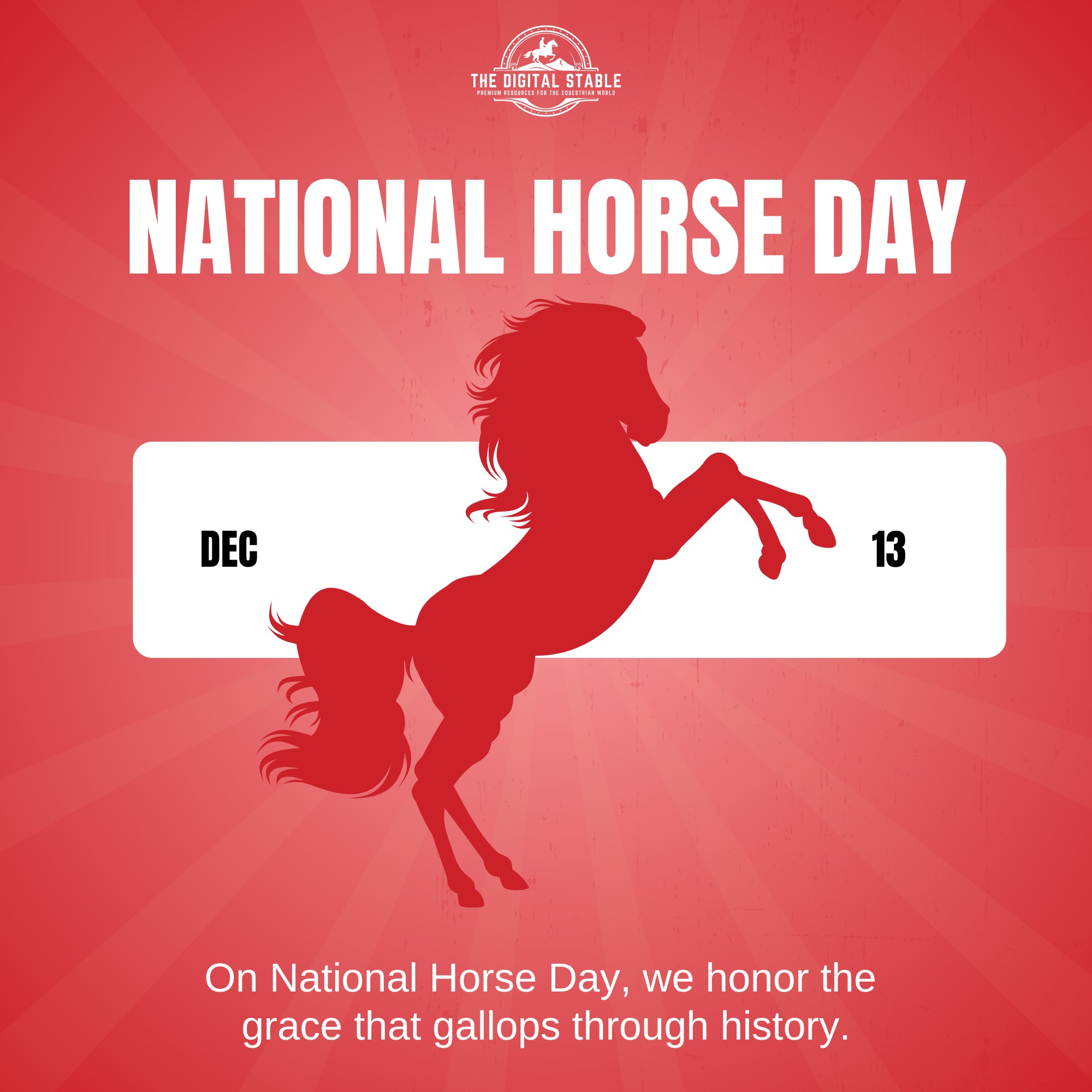 Did you know there's an entire day... - The Digital Stable | Facebook