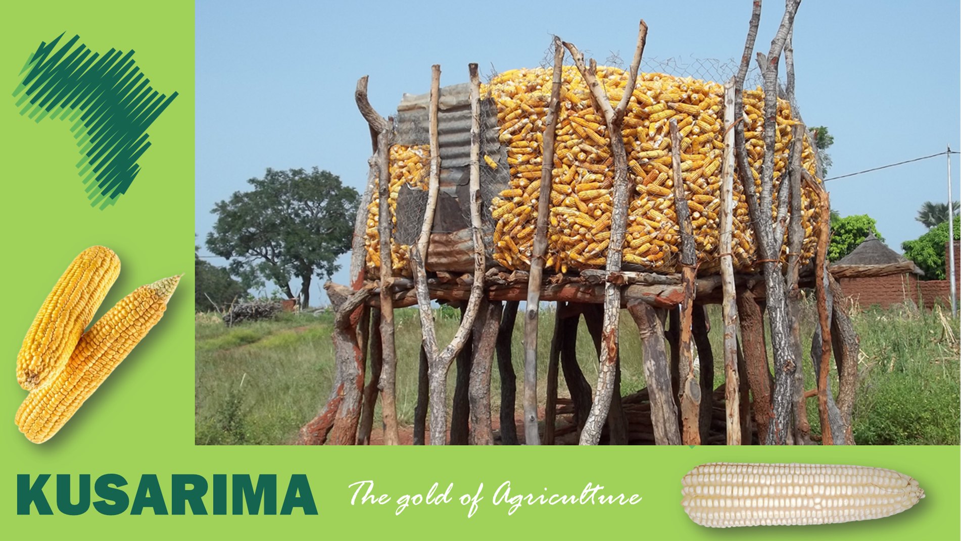 Kusarima - The Importance of Grain Storage Pesticides and Fumigants ...
