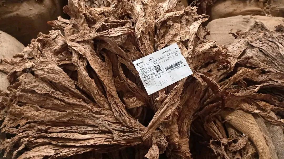 zara tobacco tango 02 TOB/02 Tobacco Tango by Zara » Reviews & Perfume Facts