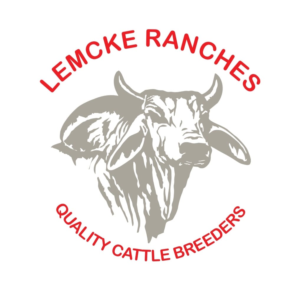 Tau Grading & Lemcke Ranches | Ghanzi