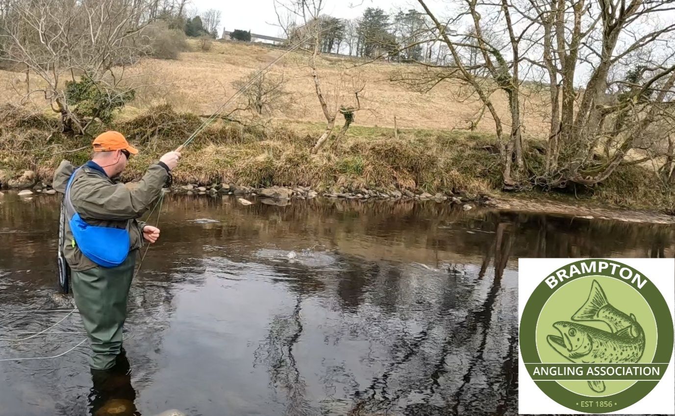 Brampton Angling Association Trout League