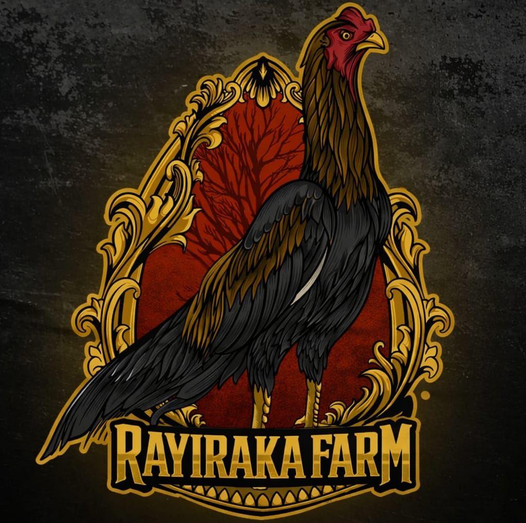 Rayi Raka Brangkot