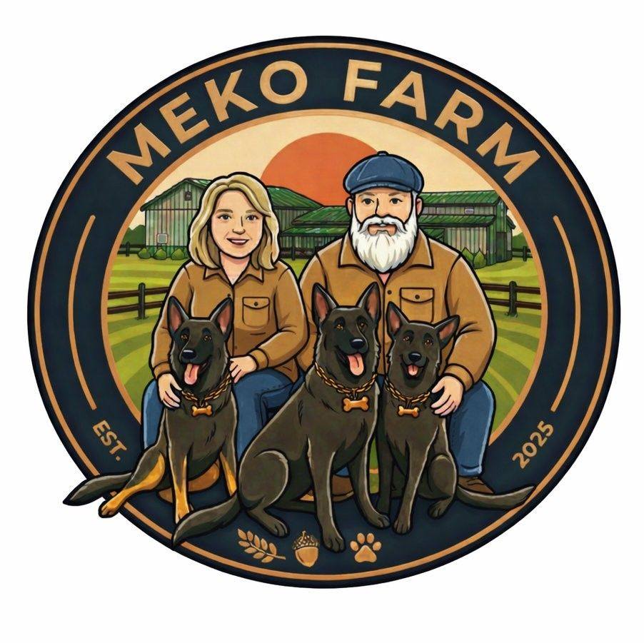 🐾 Teamwork makes the dream work at Meko Farm Doggy Retreat!🐾 Today ...