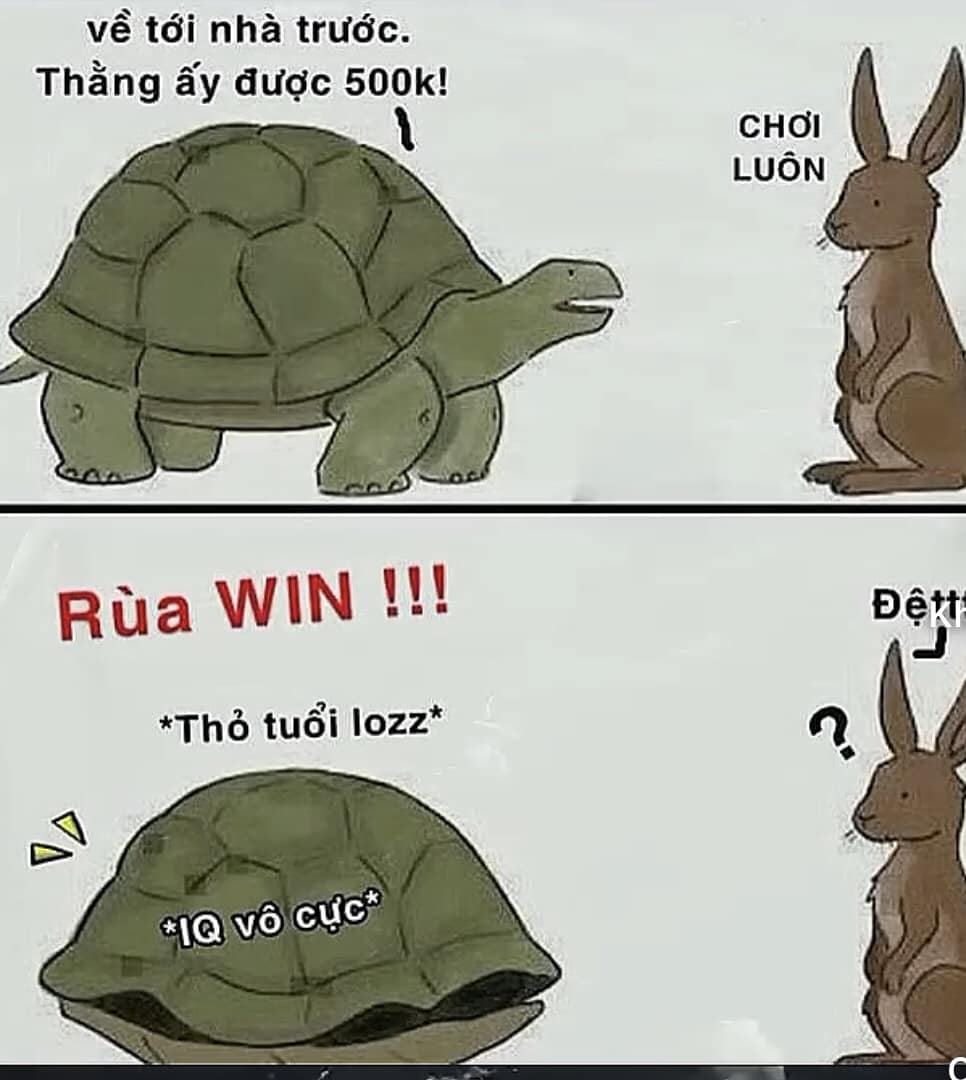 Hội những người thích meme và clip hài hước | Rùa luôn 🥇 | Facebook