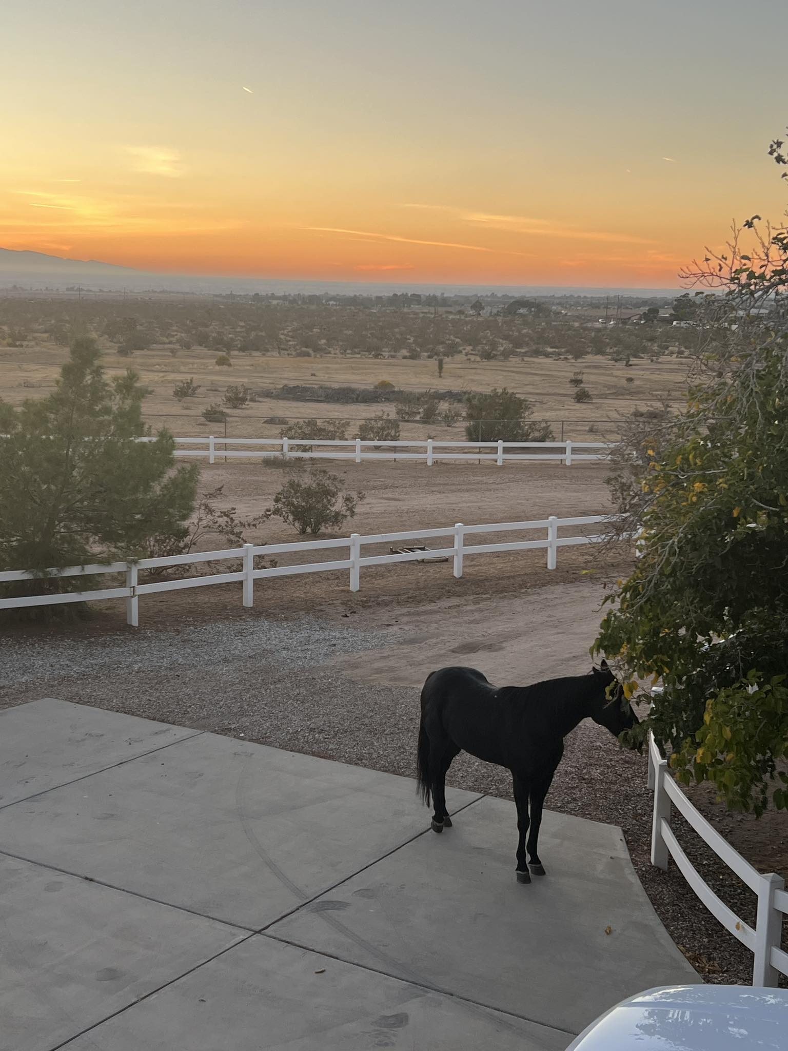 Apple Valley Ranch
