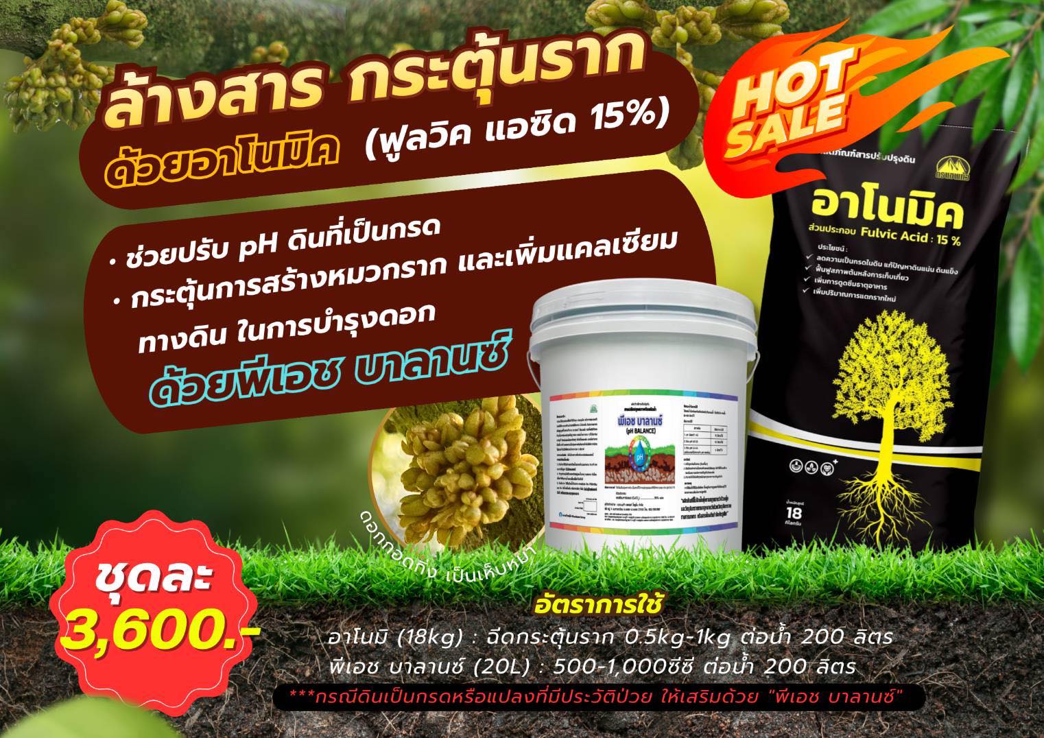 Oat Apiwat