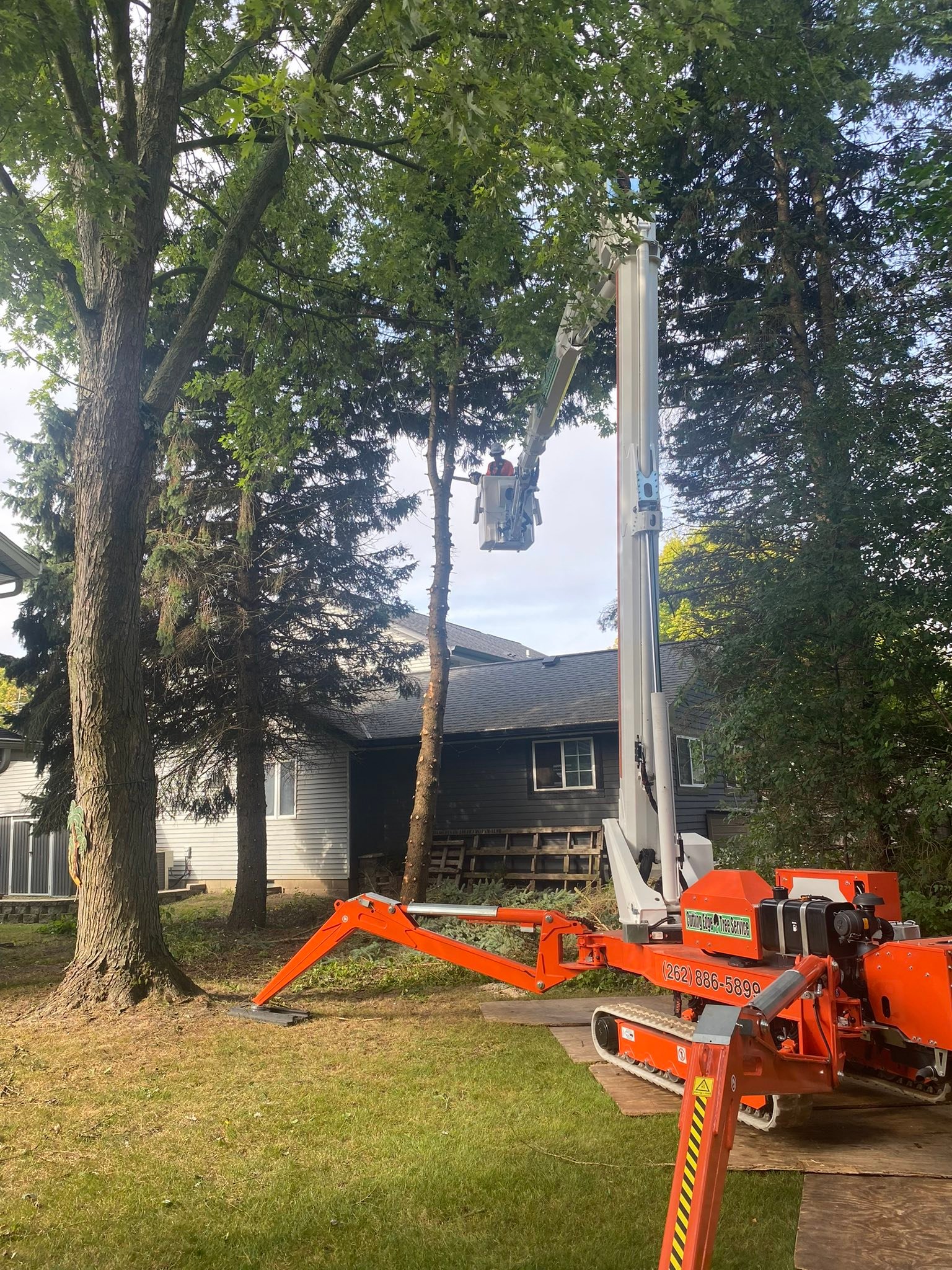 Cutting Edge Tree Service | Racine WI