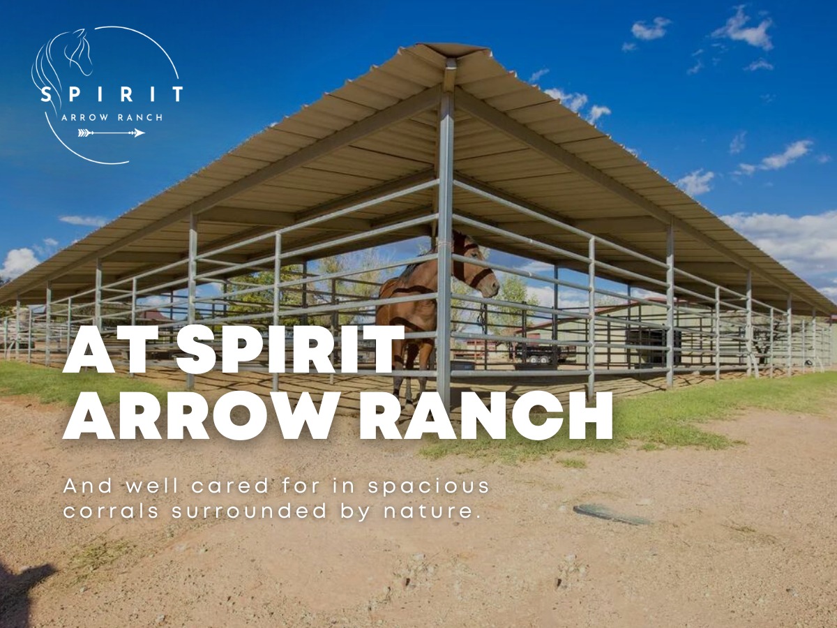 Spirit Arrow Ranch | Cornville AZ