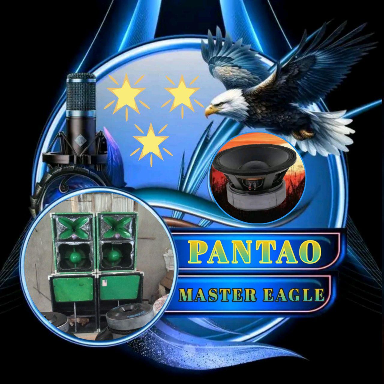 Pantao Master Eagle