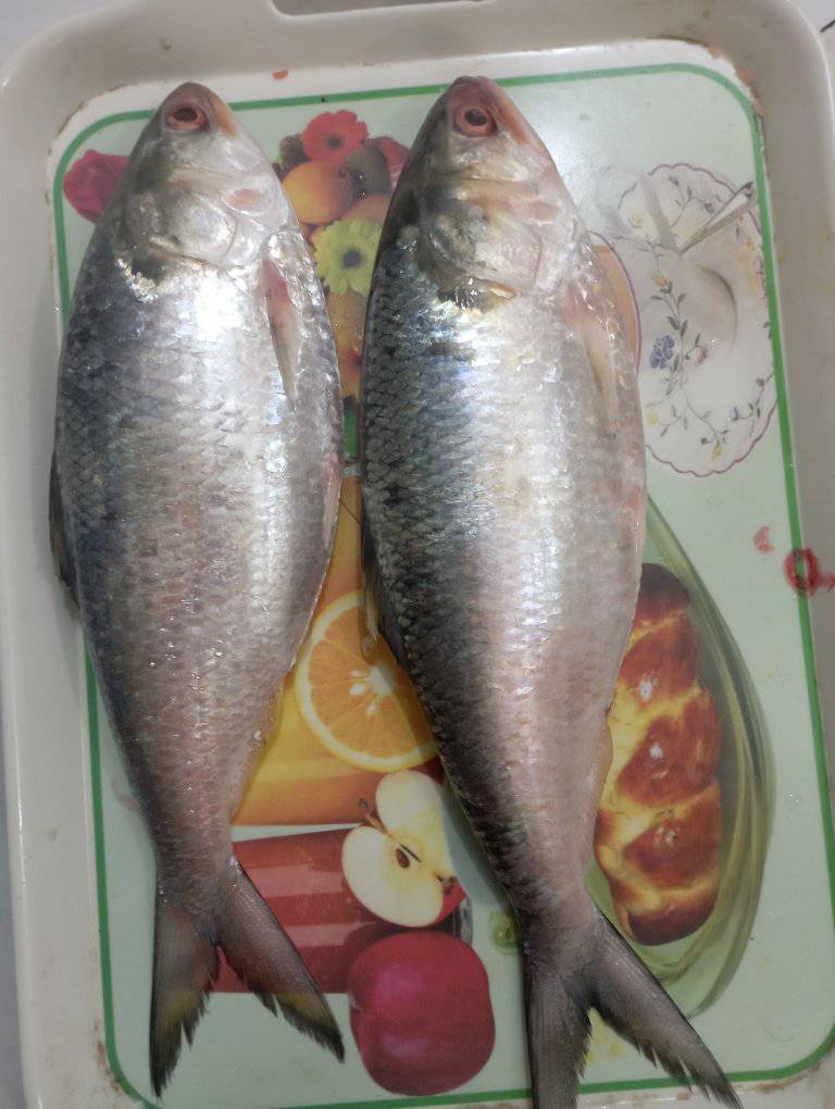 Smart Fish Mart