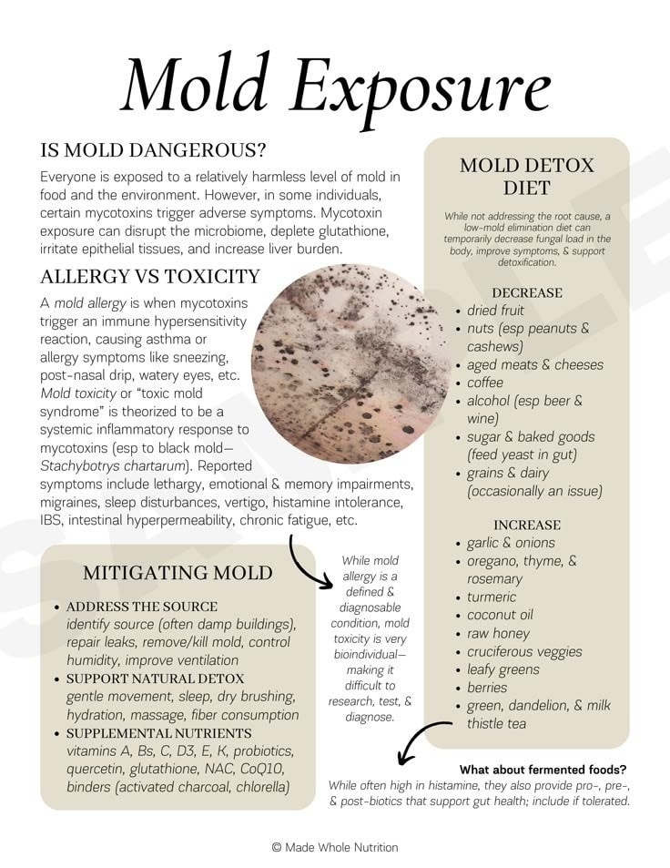 glutathione inhaled danger with mold Possible Health Effects of #Mold Exposure: People who are sensitive to may experience stuffy nose, irritated eyes, wheezing, or skin irritation. People allergic to mold may have difficulty in breathing and سيروم للتصبغات العنيدة