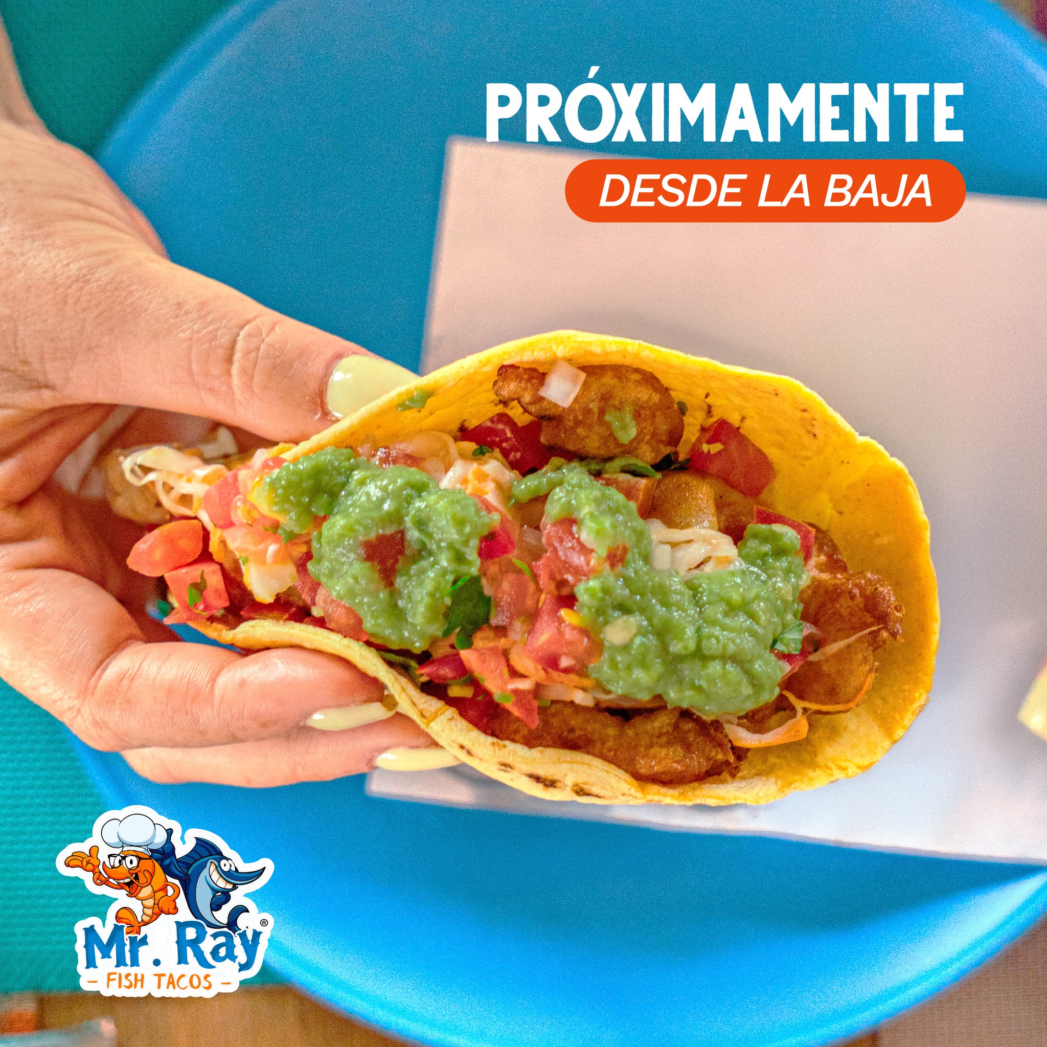 🌊🍴 La frescura y el sabor... - Mr Ray Fish Tacos P. Vallarta | Facebook
