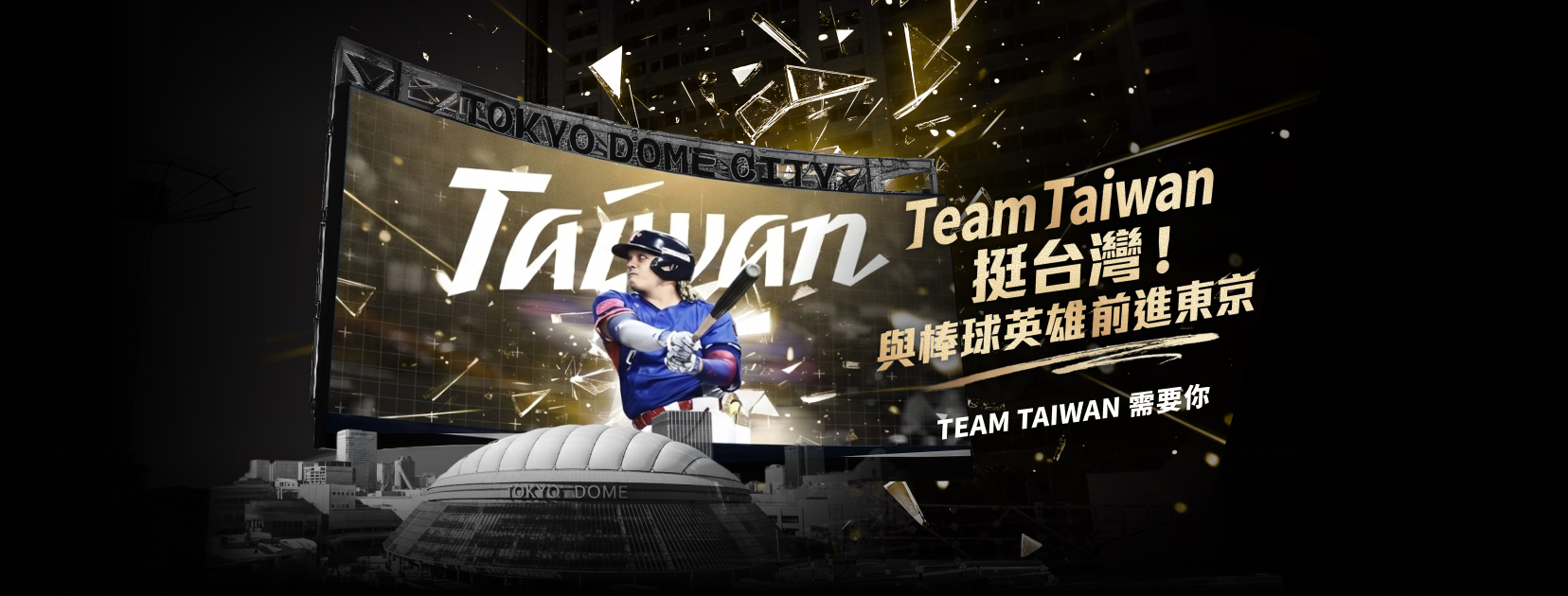 2026 Team Taiwan 挺台灣應援計畫