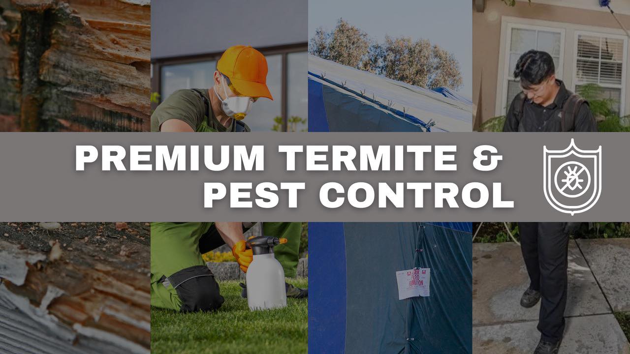 First Termite Solution added a... - First Termite Solution