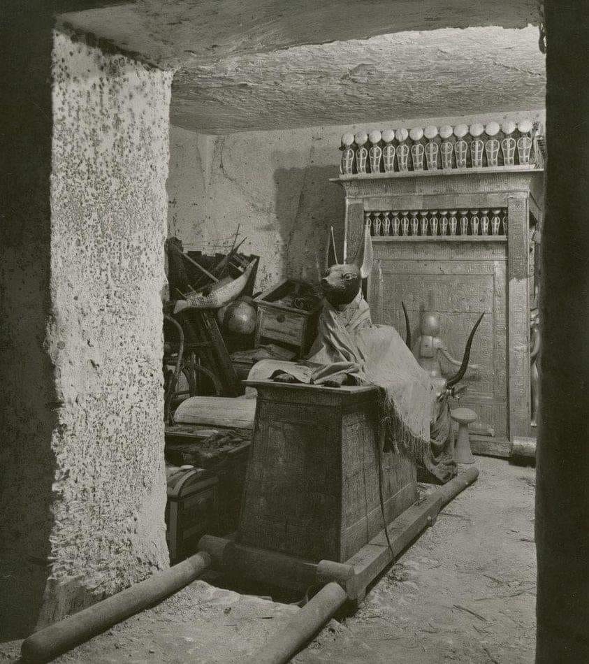 Anubis 😮😮first picture in 1923 ♥️ Tutankhamun ♥️