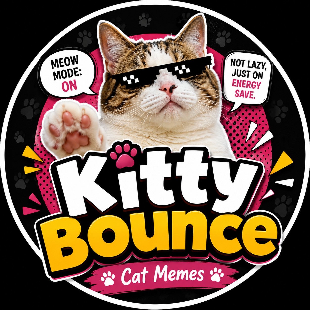 There are two types of body type 🤣🤣 #catmemes #Kittybounce #relatable ...