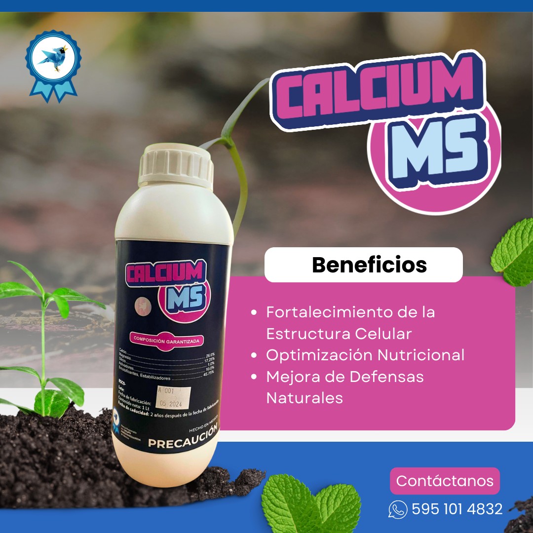 Descubre los beneficios de... - Vanguardia de Chahuites