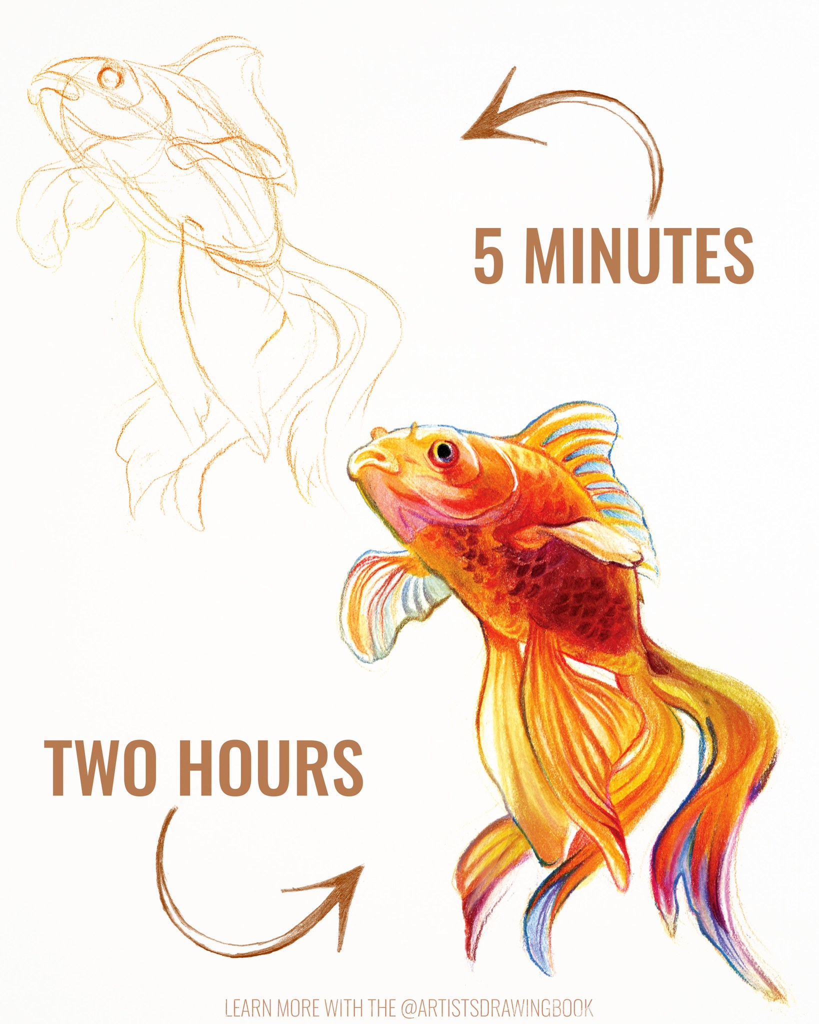 The difference between five... - The Artist's Drawing Book | Facebook