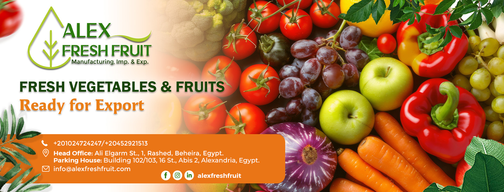 Alex Fresh Fruit | Rashid
