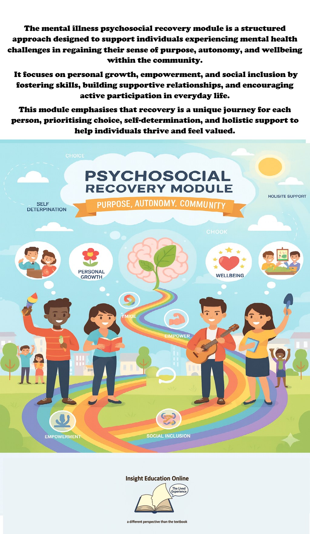 Insight - The mental illness psychosocial recovery module is a ...