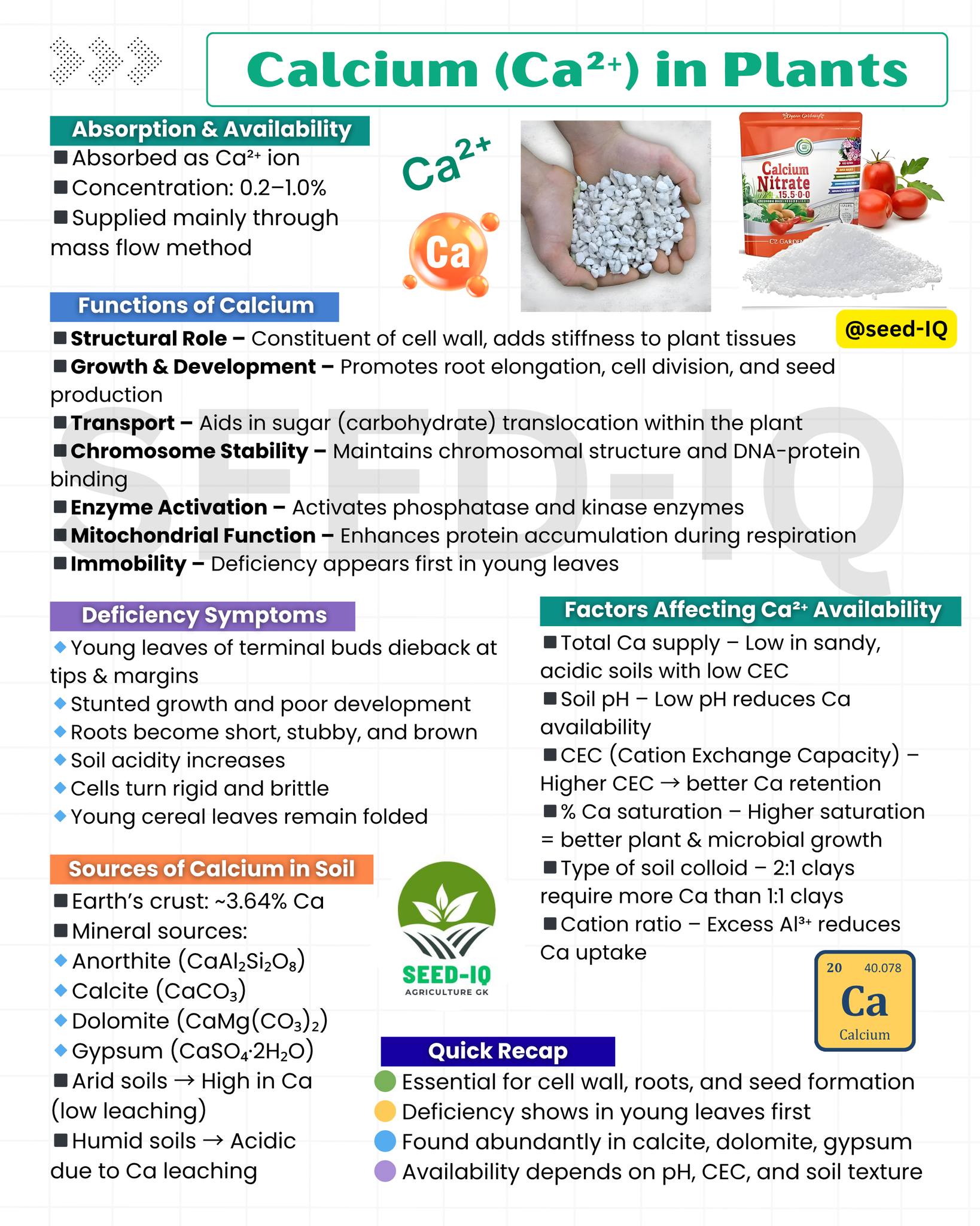 Seed-IQ - Role of Calcium in Plant Growth & Soil Health... | Facebook