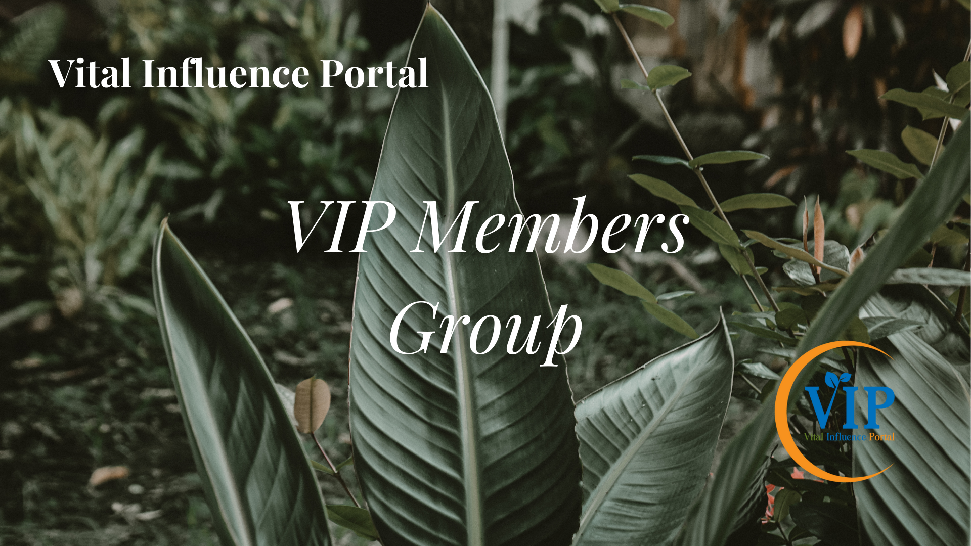 Vital Influence Portal - VIP Members Group | Facebook