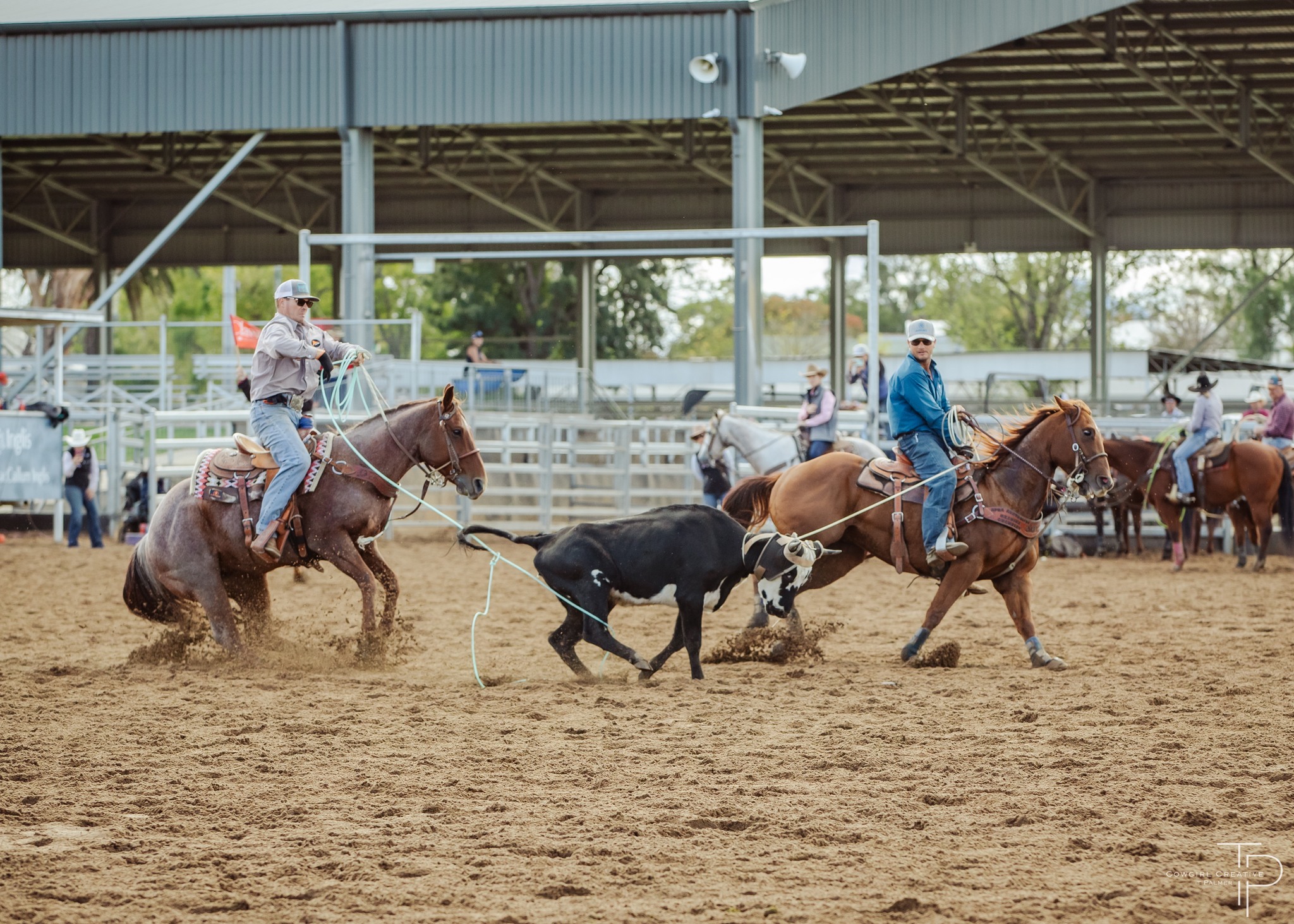X1 Roping | Bendemeer NSW