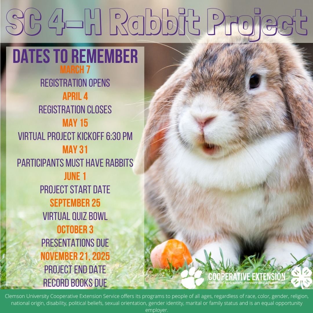 Lee.County - 🐰 Join the SC 4-H Rabbit Project! 🐇🌱 Are you ready to hop ...