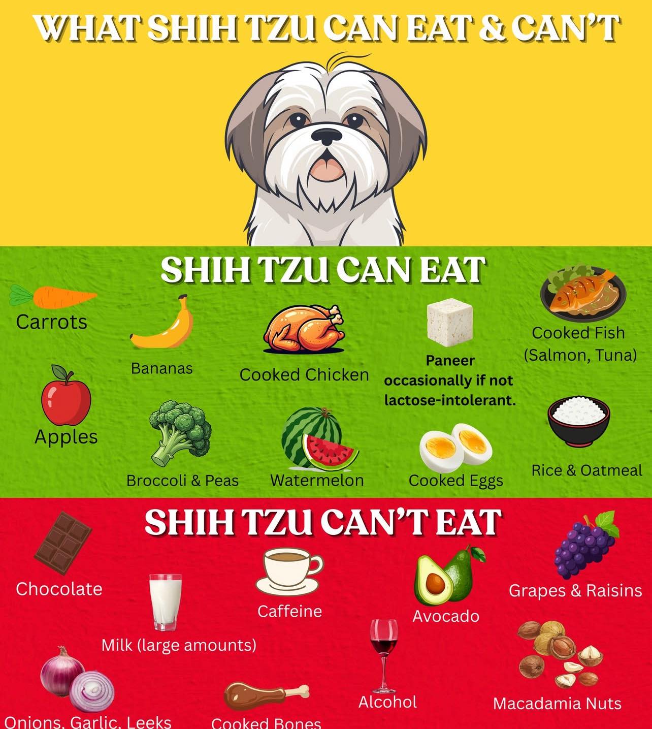 Shih Tzu Puppies for adoption | Keeping your Shih Tzu healthy starts