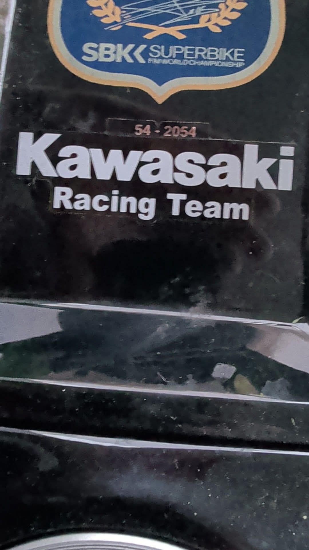 Is this 2020 Kawasaki ZX-10R color scheme original?
