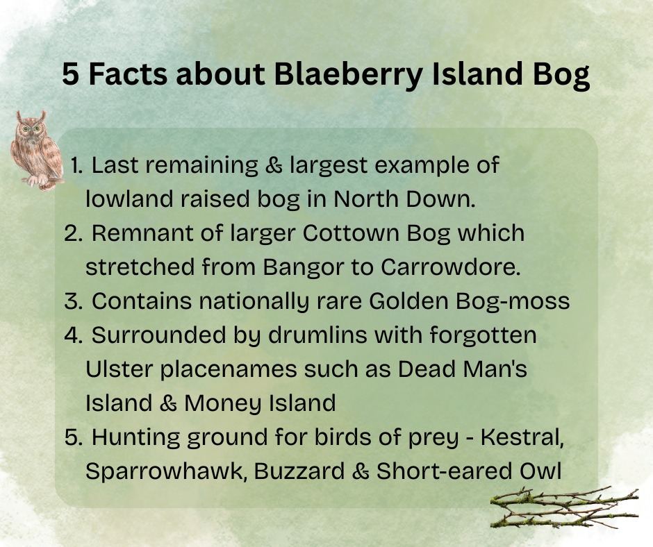 Friends of Blaeberry Island Bog