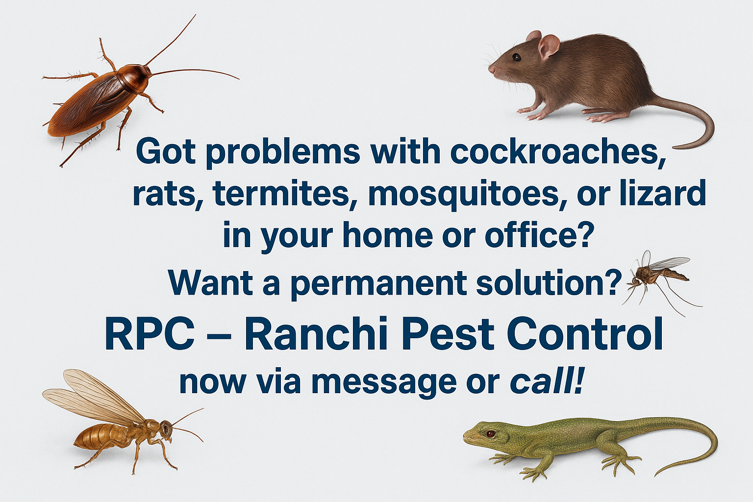 RPC Traps | Ranchi