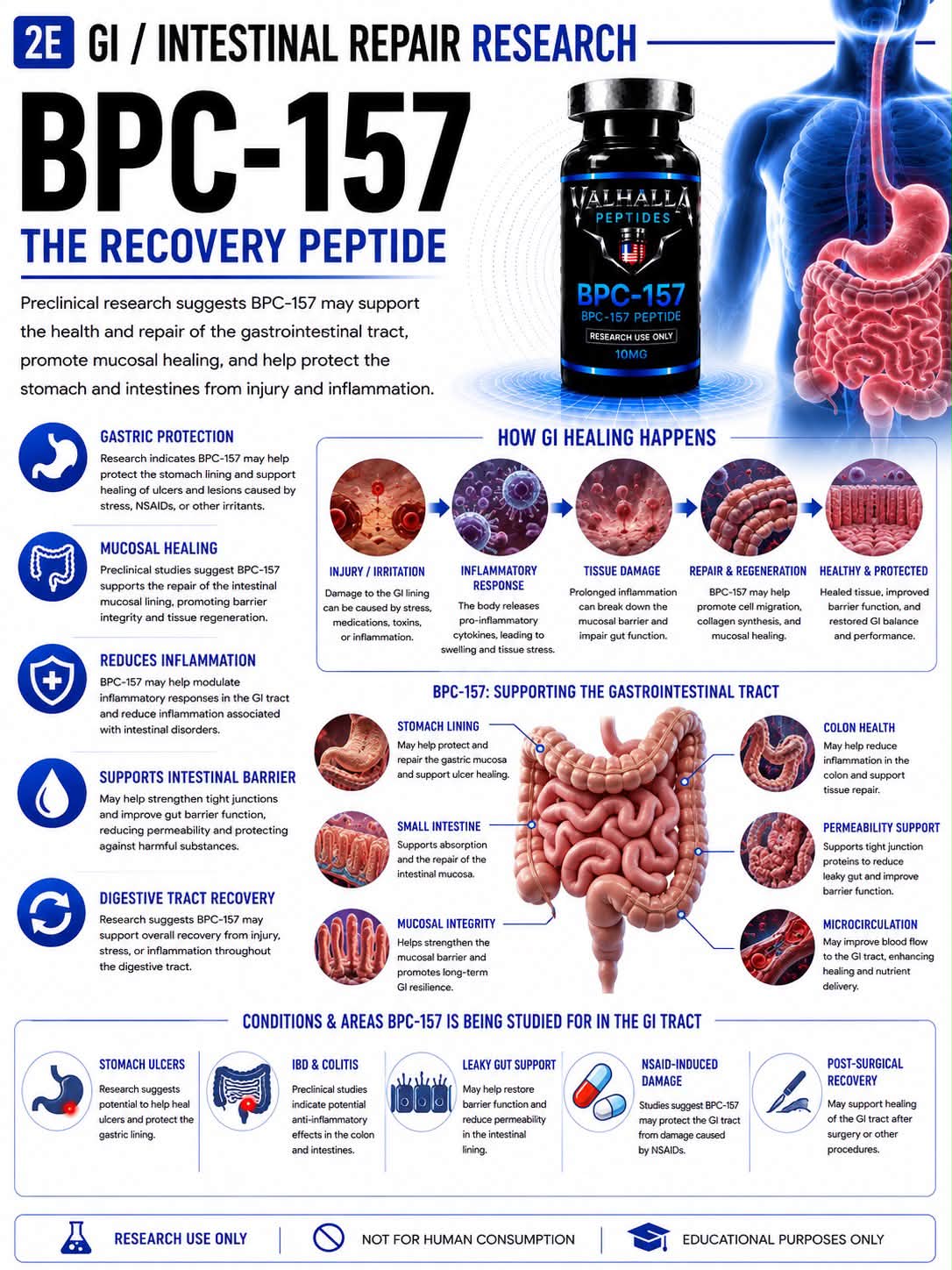 bpc 157 for gi issues BPC-157 peptide therapy muscle recovery and inflammation BPC 157 Peptide Capsules, Levocarnitine Size:15ml Glass Dropper Bottle