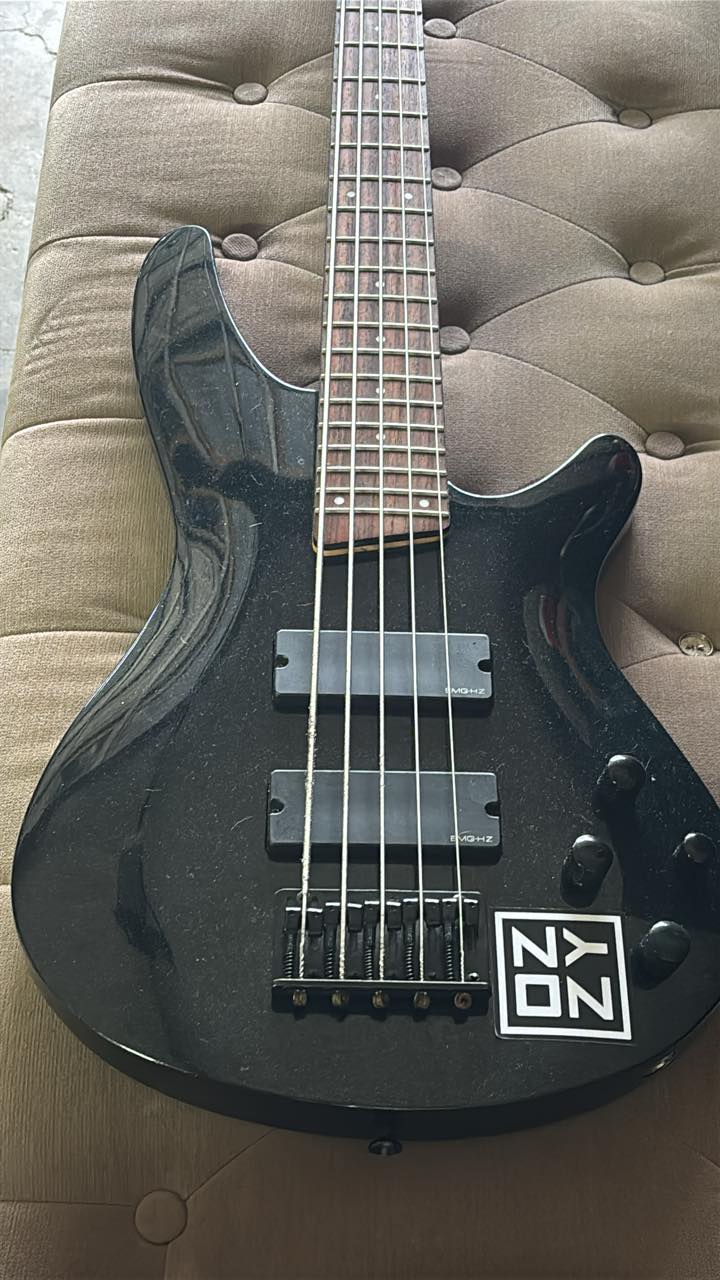 What is this 5-string bass guitar with Ibanez EMG pickups?