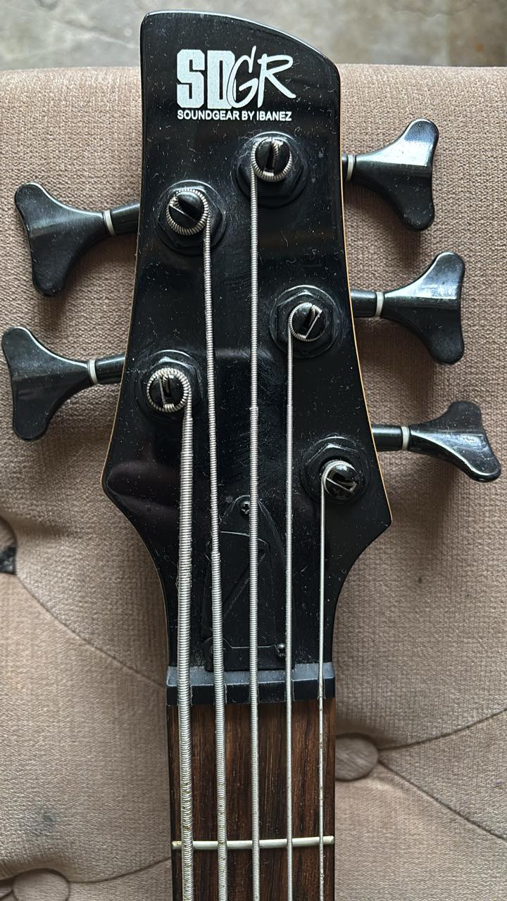 What is this 5-string bass guitar with Ibanez EMG pickups?