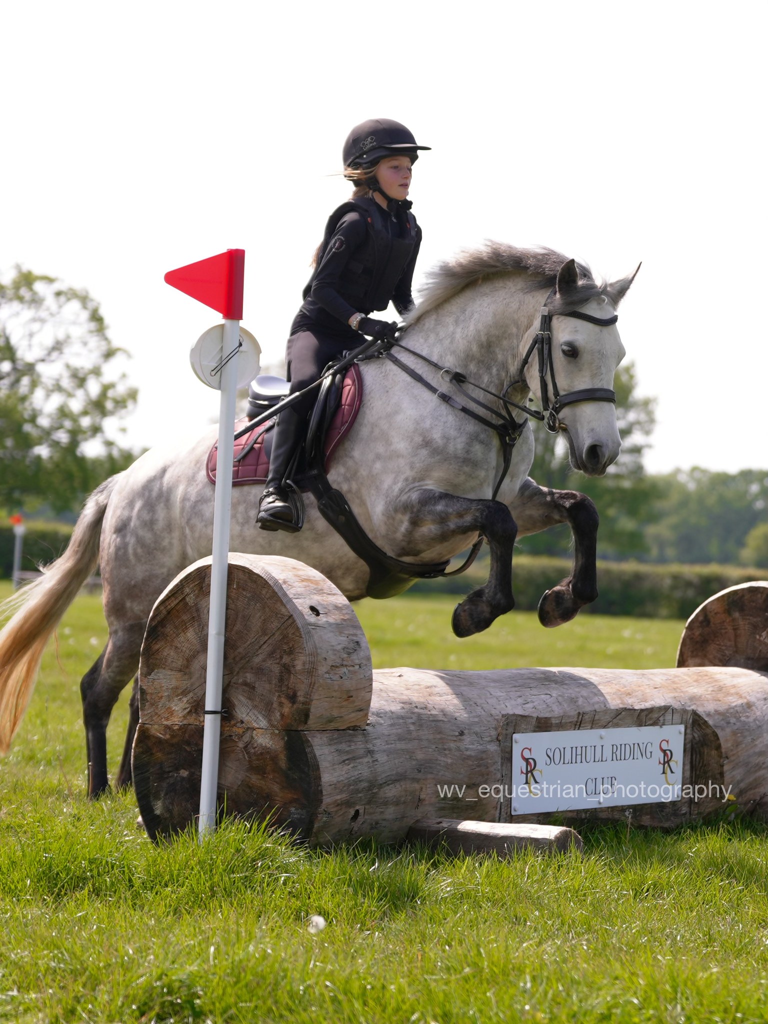 Willow Victoria Equine