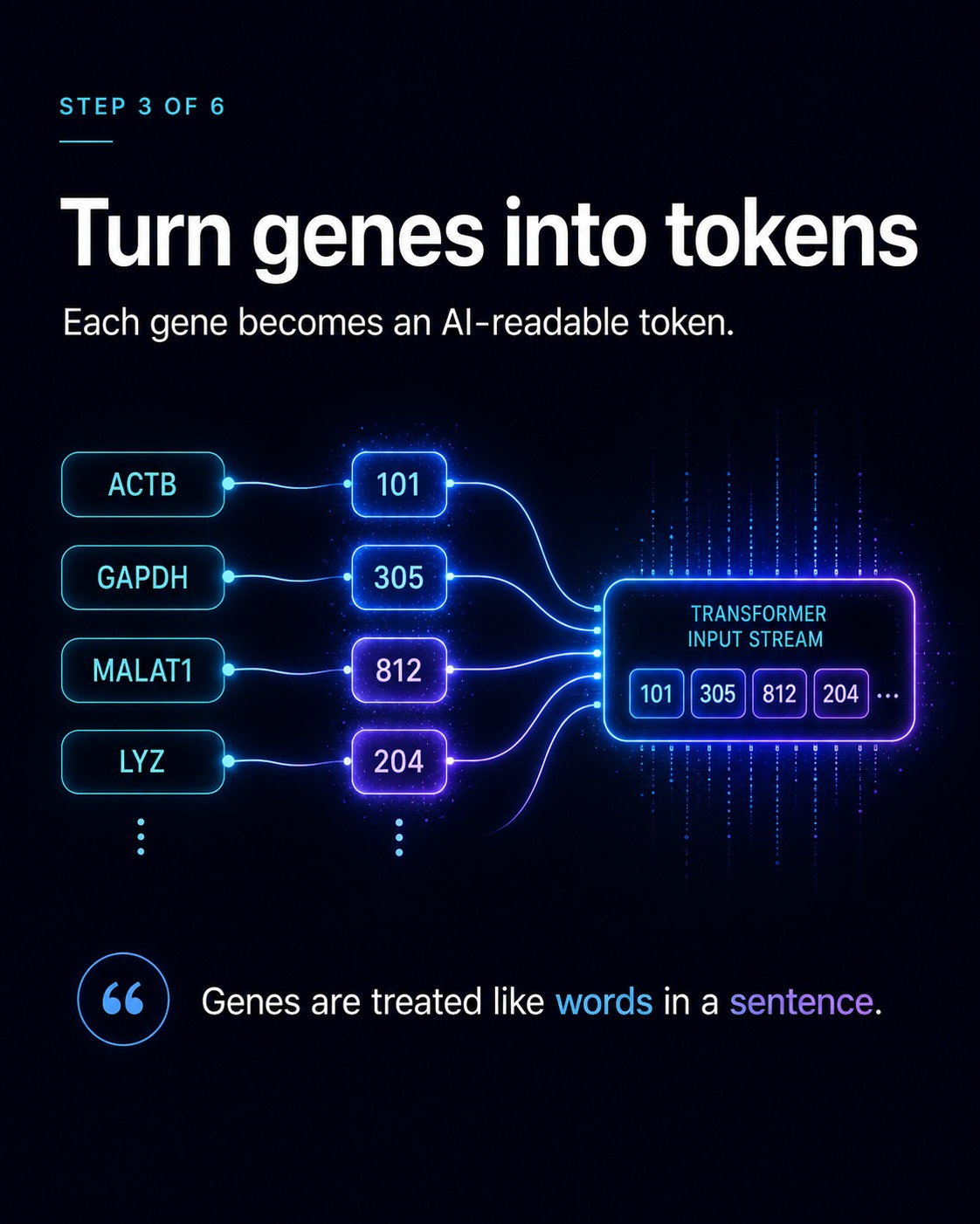 Geneformer AI tool for single-cell biology