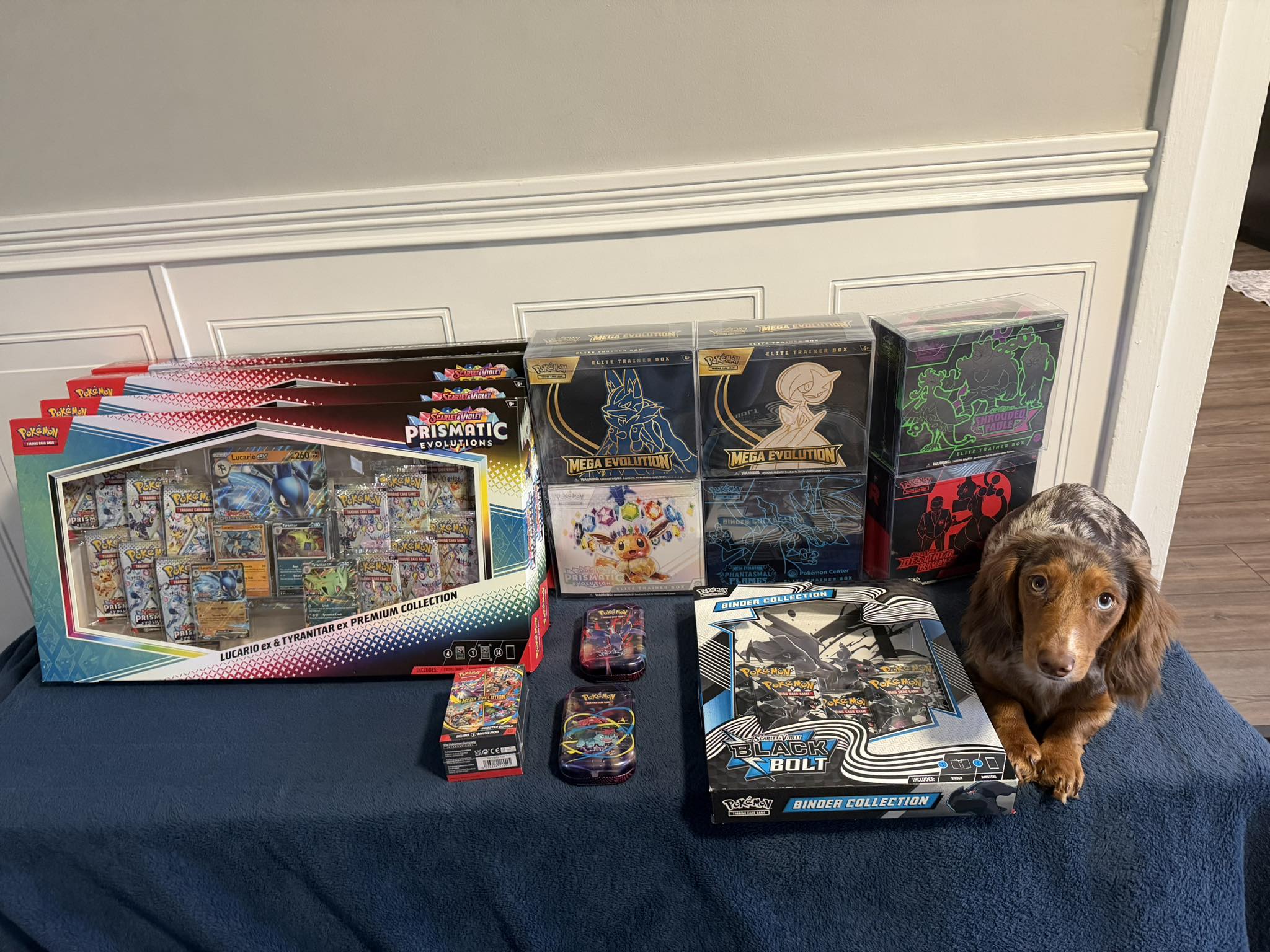 New Pokémon products at Kelly's Resale & Collectibles