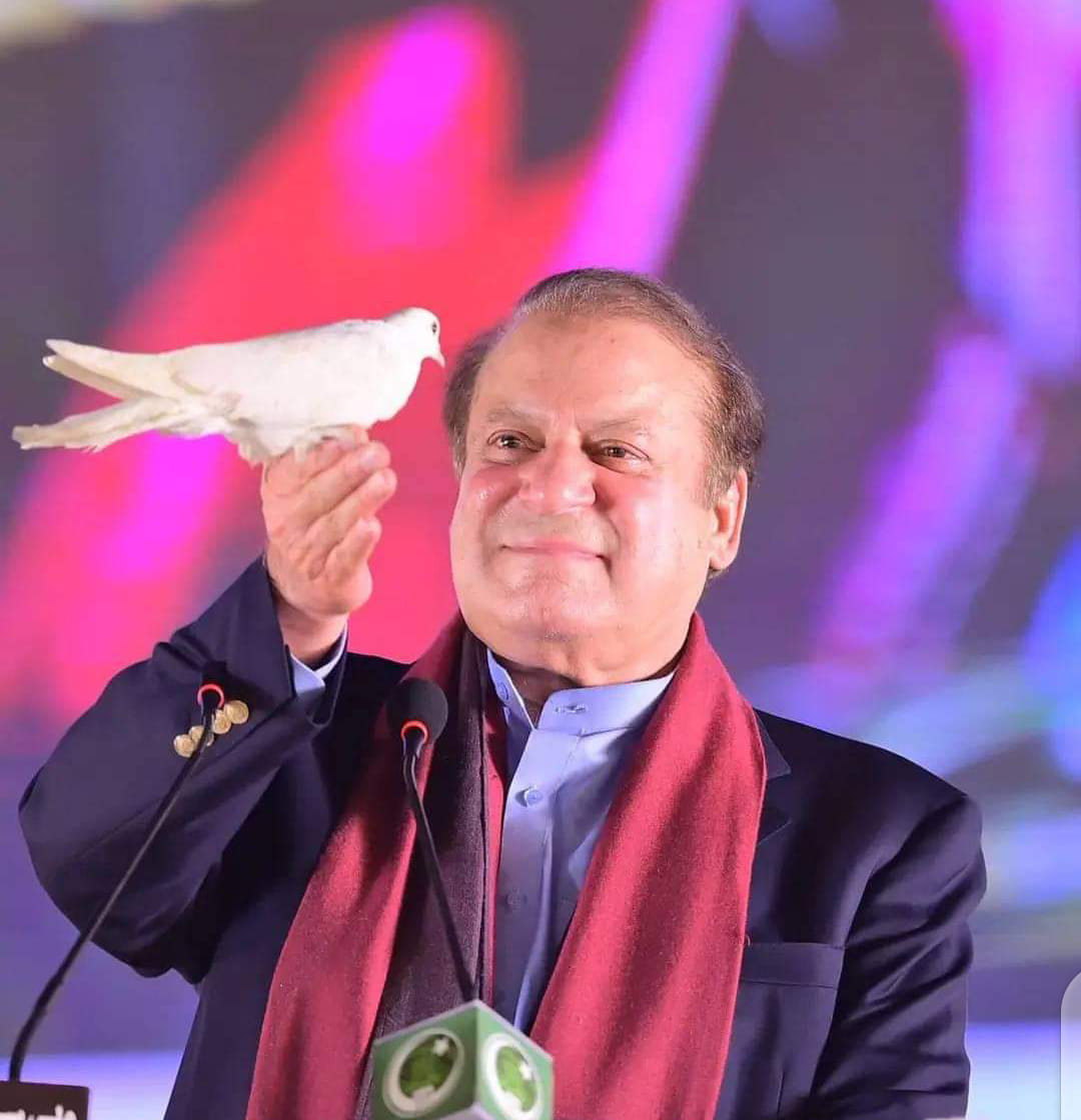 ندا راجپوت