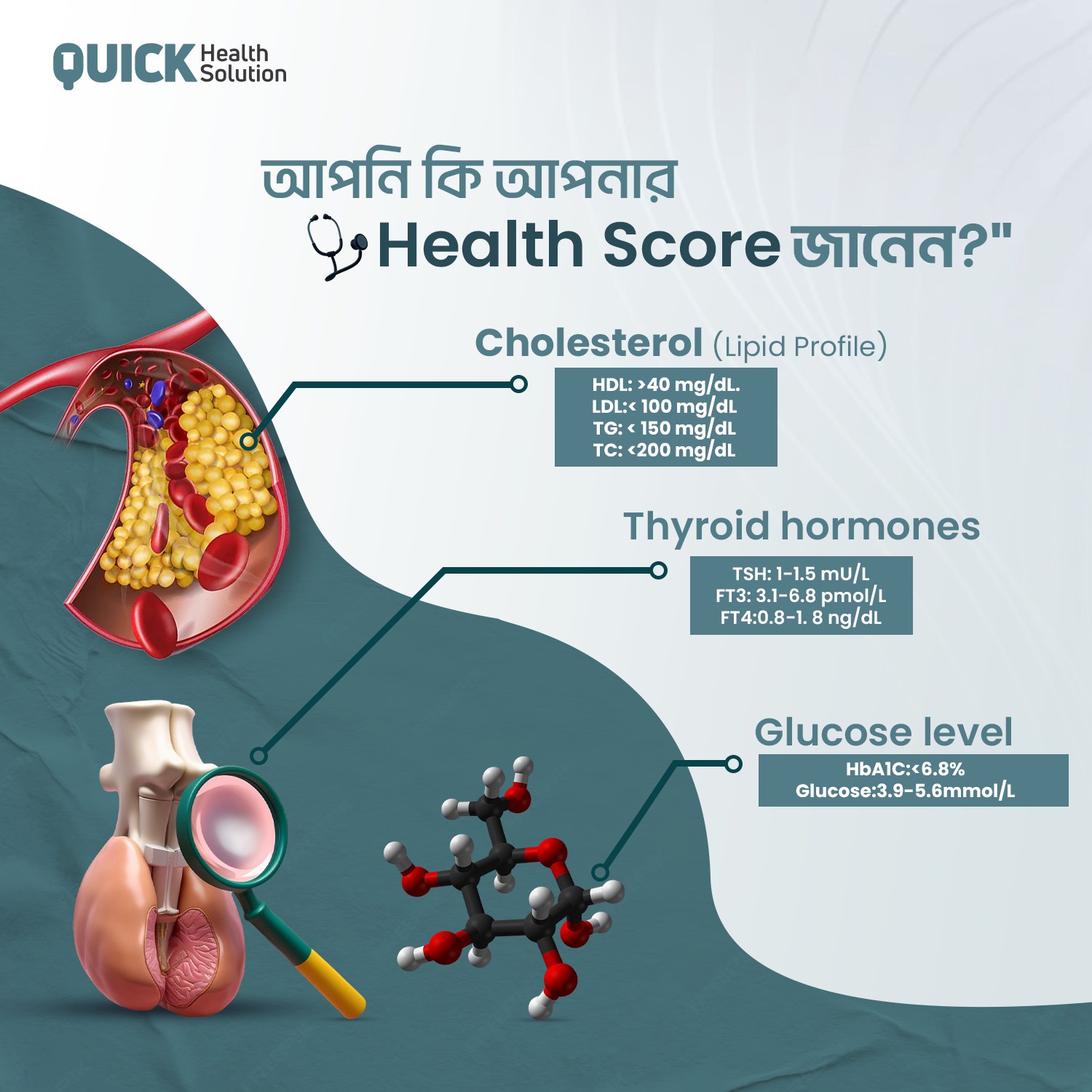Quick Health Solution | Dhaka